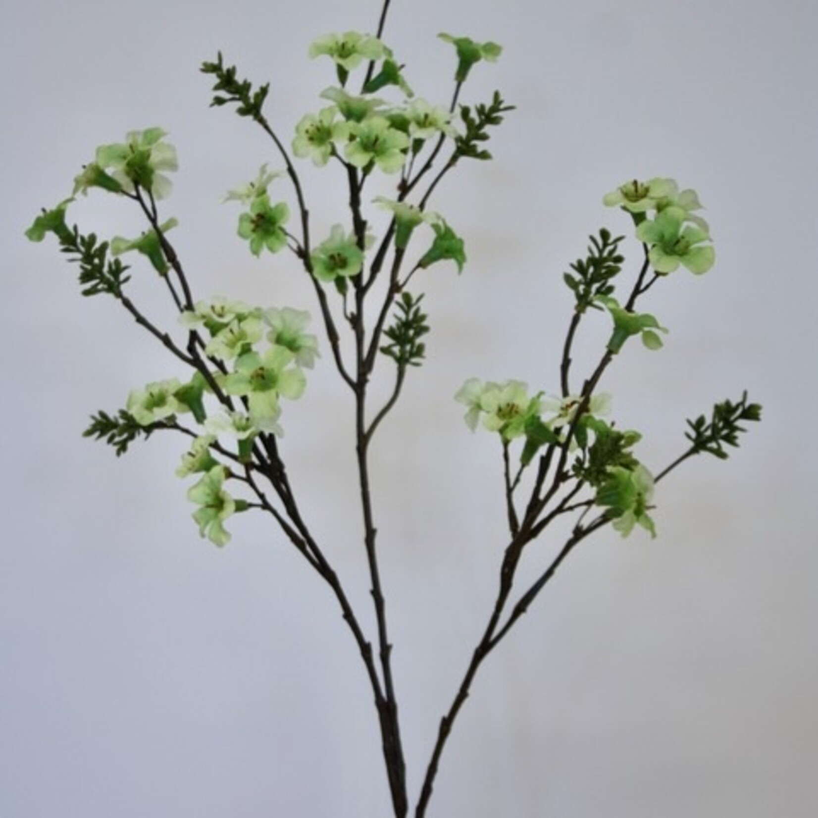 MANUKA TAK | GROEN | 86 CM