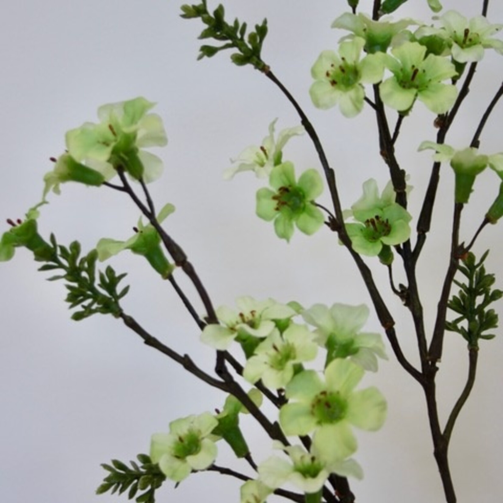 MANUKA TAK | GROEN | 86 CM