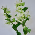 BLOESEM | WIT | 84 CM