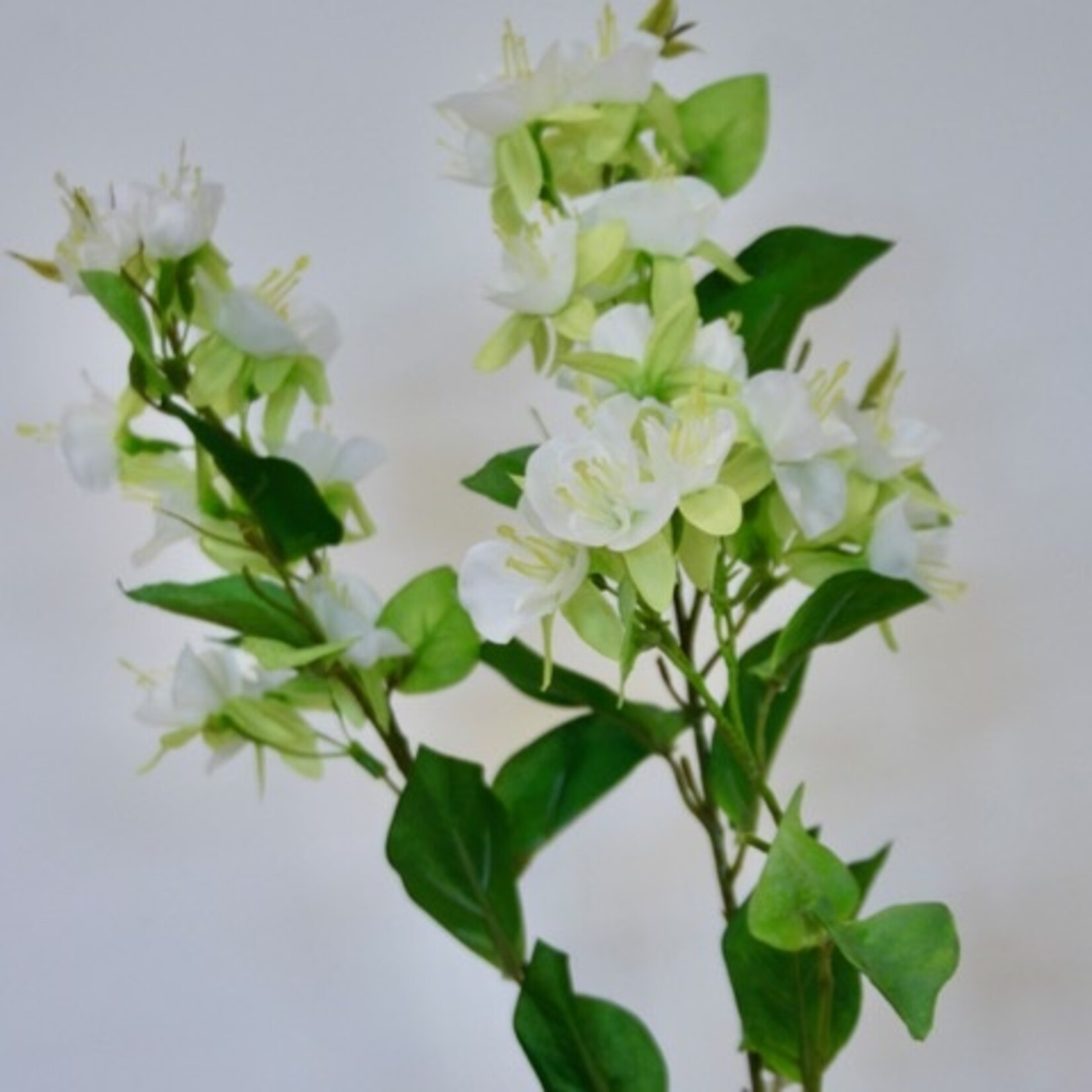 BLOESEM | WIT | 84 CM