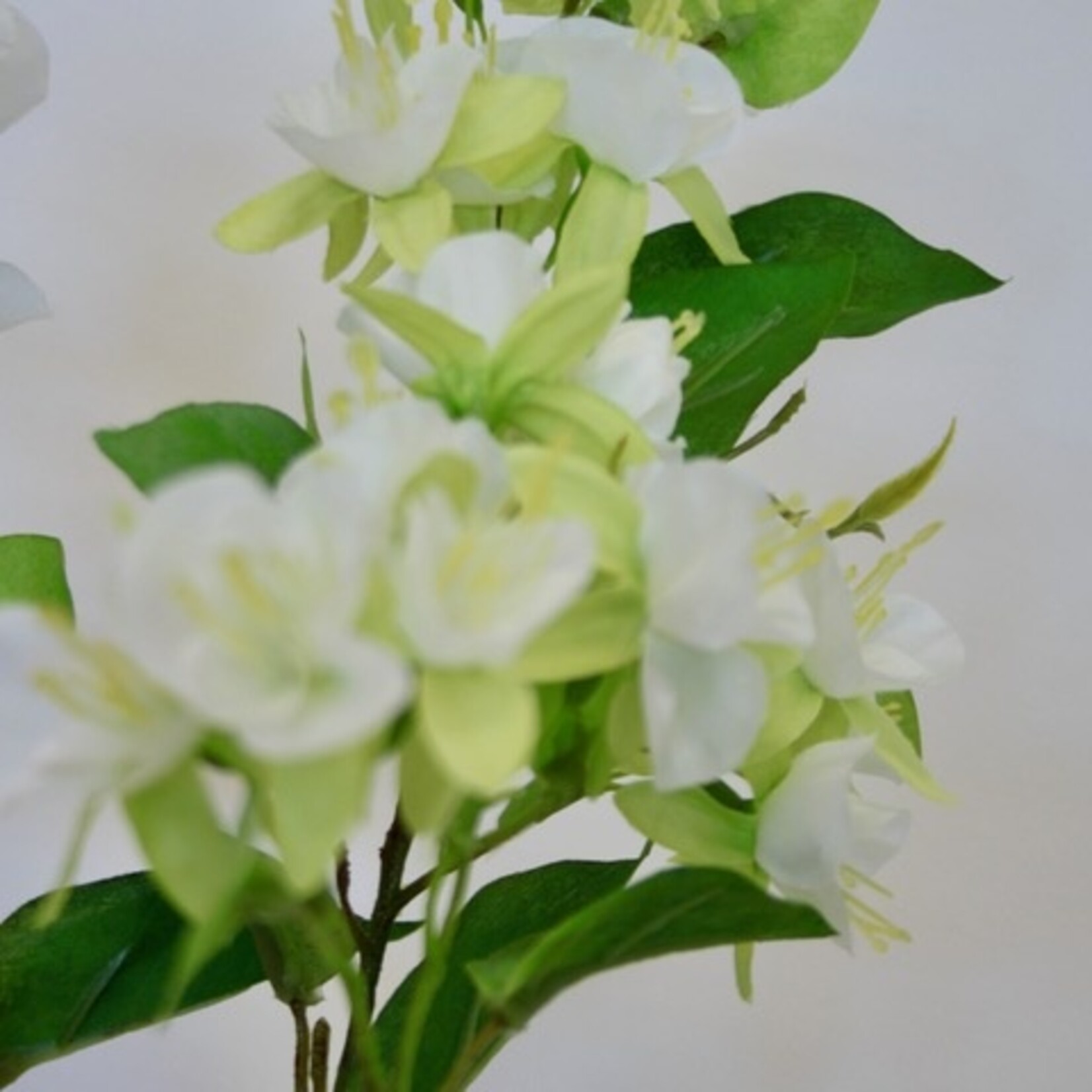 BLOESEM | WIT | 84 CM