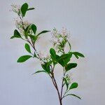 SERING TAK| LICHT ROZE | 76 CM