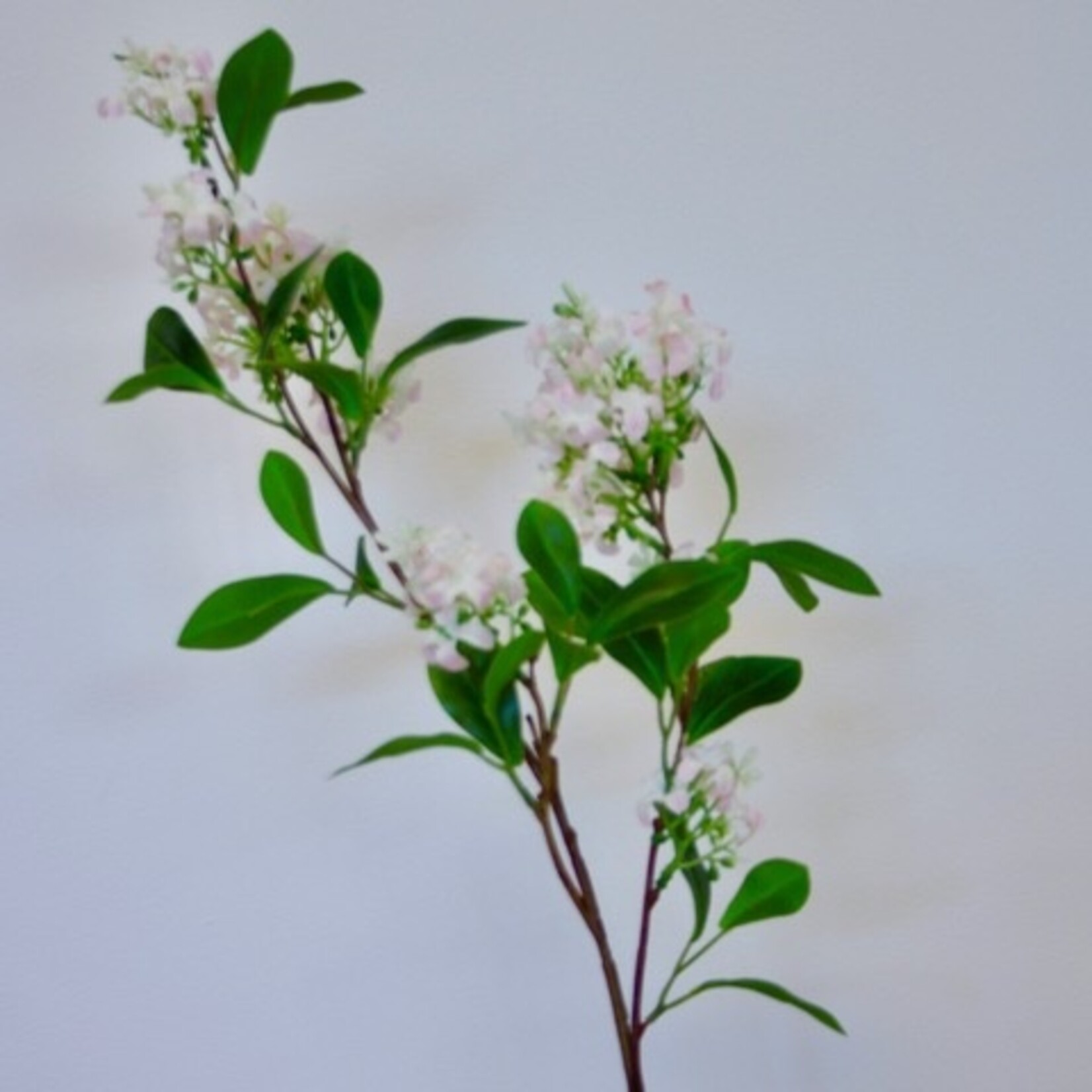 SERING TAK SUPERBA| LICHT ROZE | 76 CM