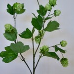 HOP TAK | GROEN | 77 CM