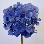 HYDRANGEA | BLUE | 45 CM
