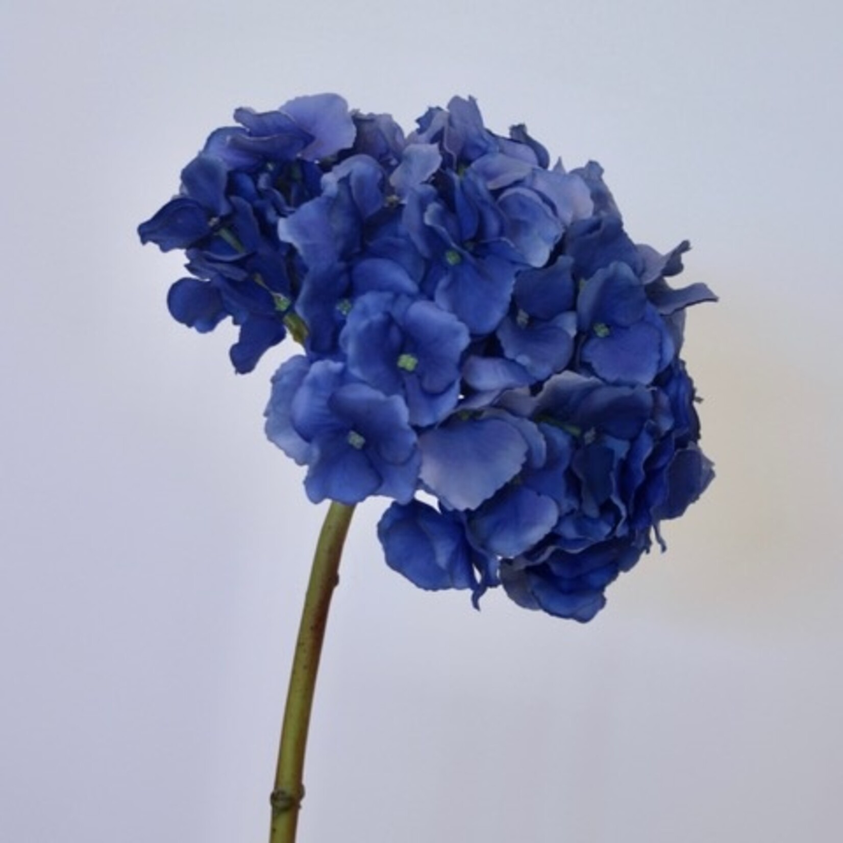 HYDRANGEA LITTLE BLUE | BLUE | 45 CM