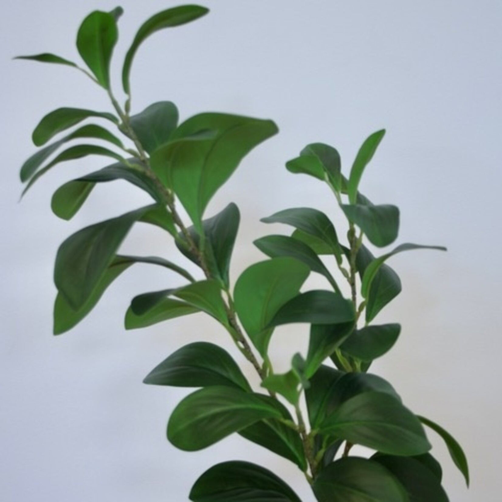 STRING OF TURTLES | GREEN | 65  CM