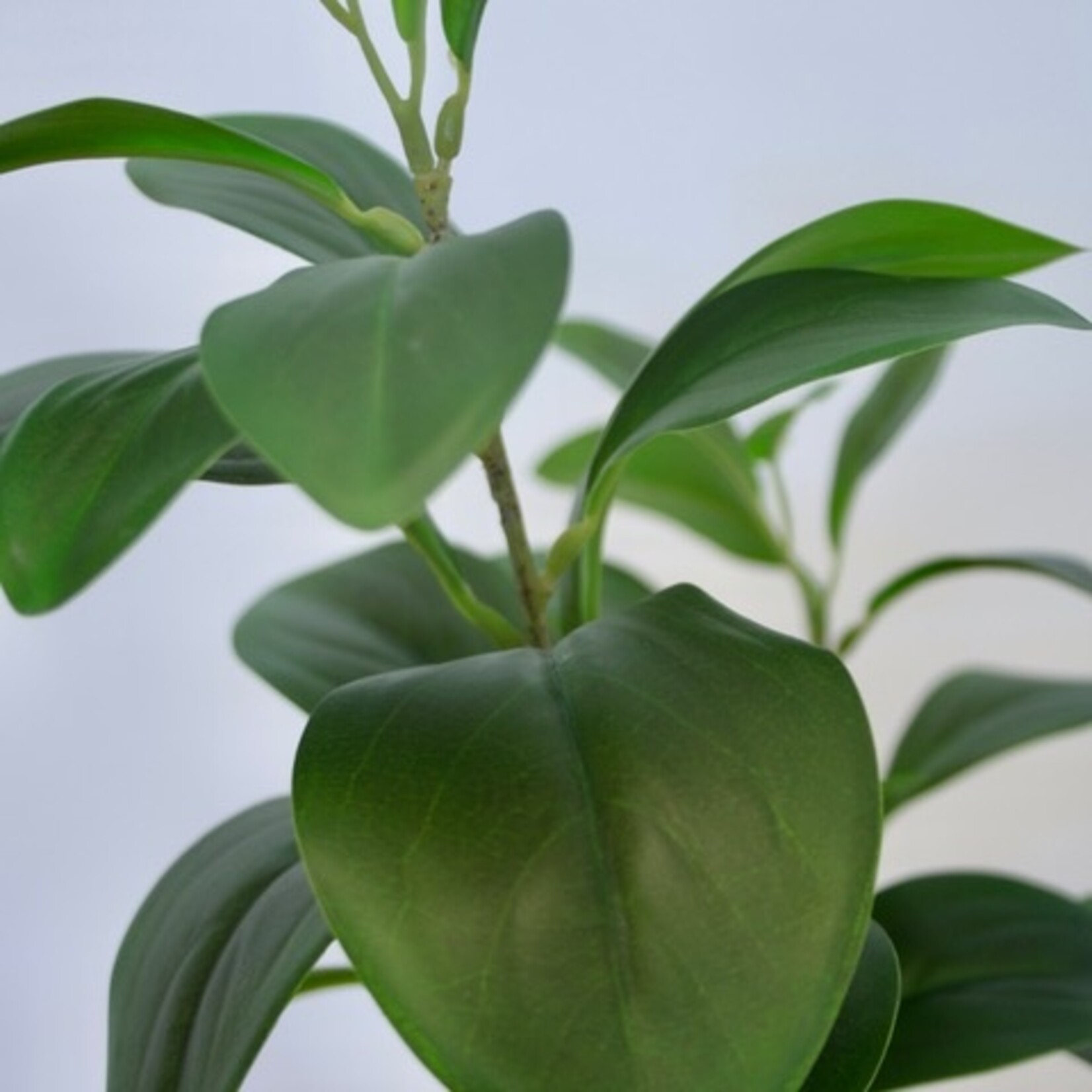 STRING OF TURTLES | GREEN | 65  CM