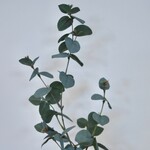 EUCALYPTUS TAK | GROEN/GRIJS | 86 CM