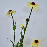 ZONNEHOED | GEEL | 80 CM
