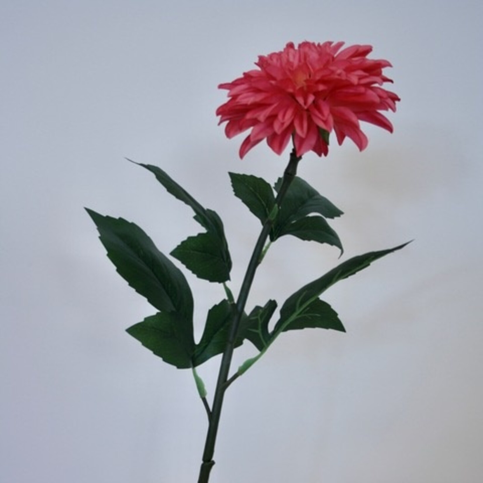 DAHLIA ESLI | PINK |  70 CM