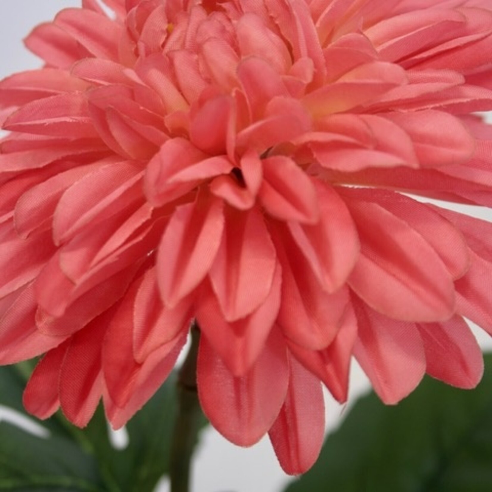 DAHLIA ESLI | PINK |  70 CM