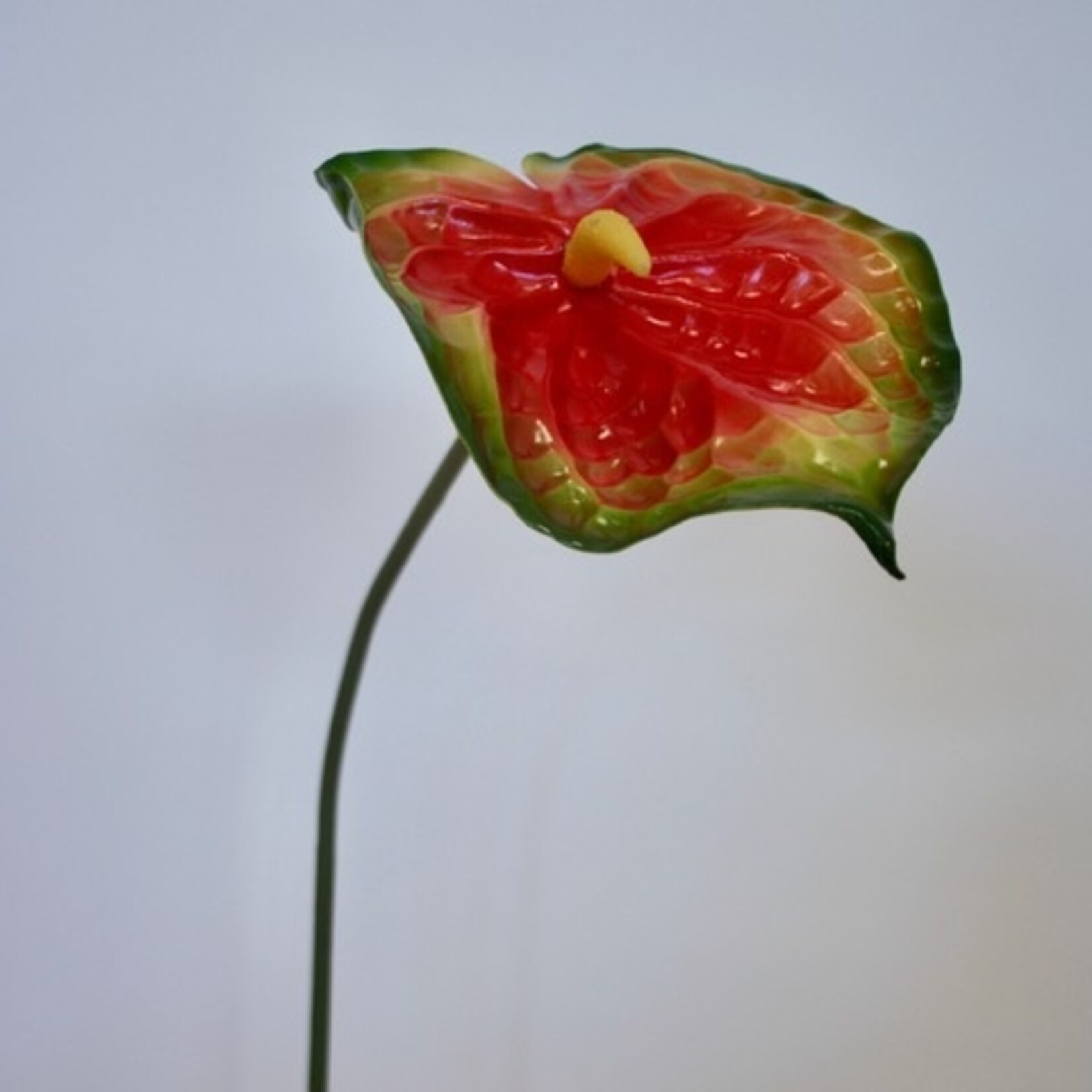 ANTHURIUM ORANGE CHAMPION  | ORANJE | 74 CM