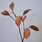LAUREL | ORANGE | 52 CM
