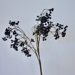 BERRY  SPRAY | BLACK | 65 CM