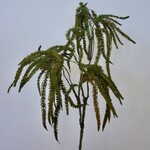 AMARANTHUS HANGEND | GROEN BRUIN | 45 CM