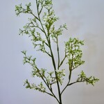 JASMIN  | WHITE | 79 CM