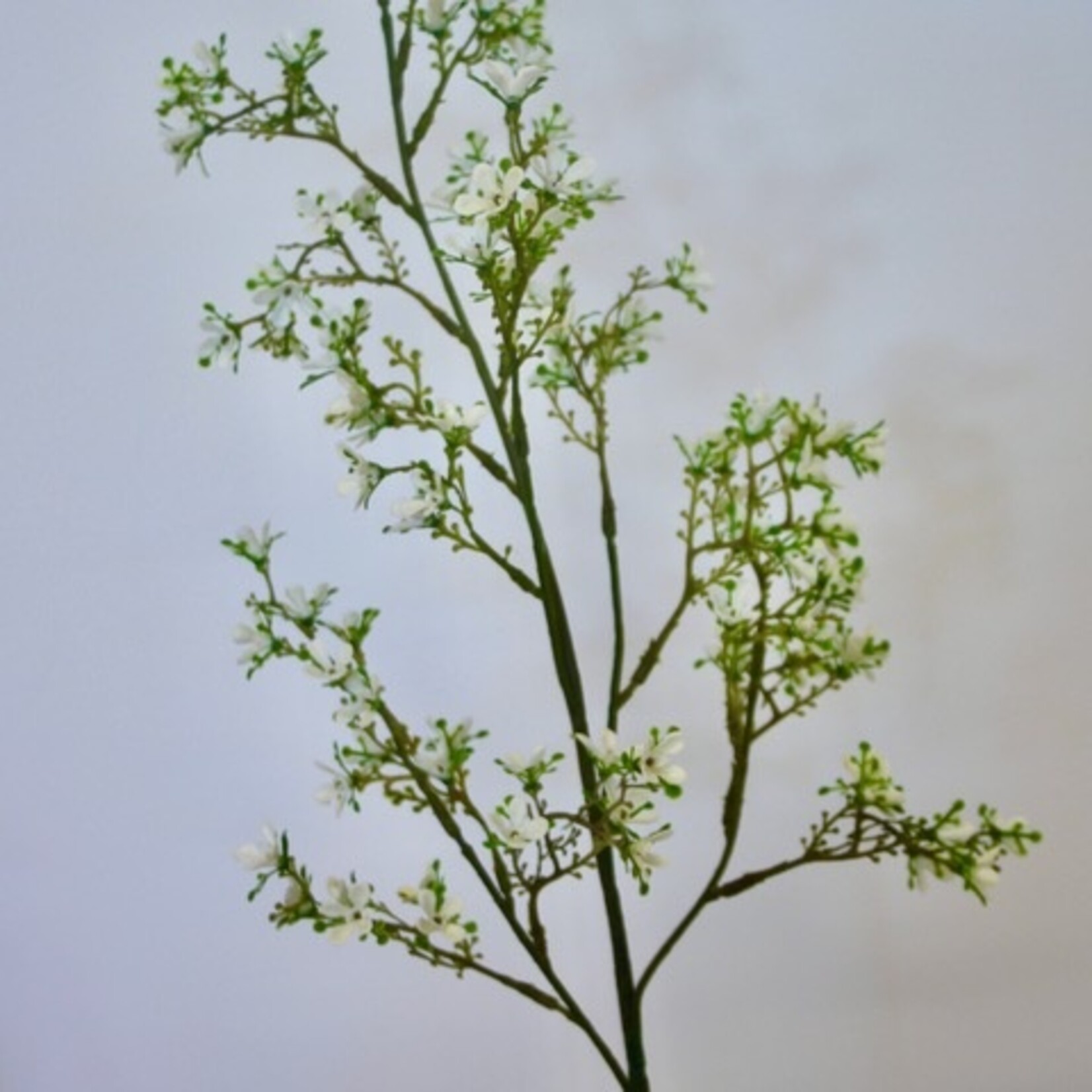 JASMIN  | WHITE | 79 CM