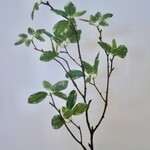 LEAF BRANCH  | GREEN WHITE | 60 CM