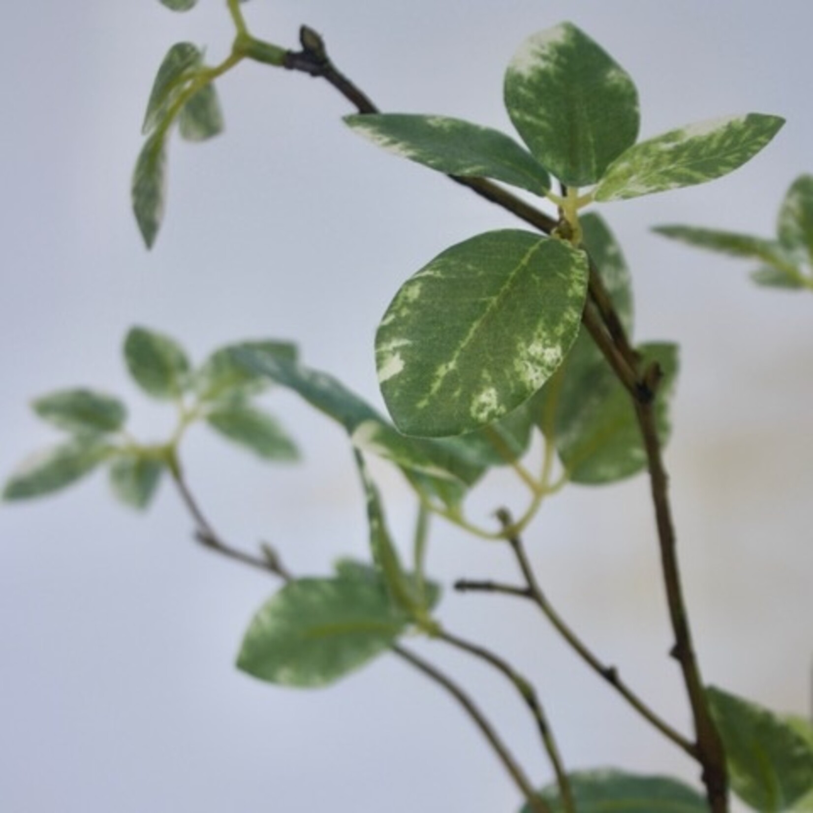 LEAF BRANCH  | GREEN WHITE | 60 CM