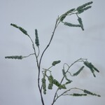 AMARANTHUS| GREEN | 90 CM