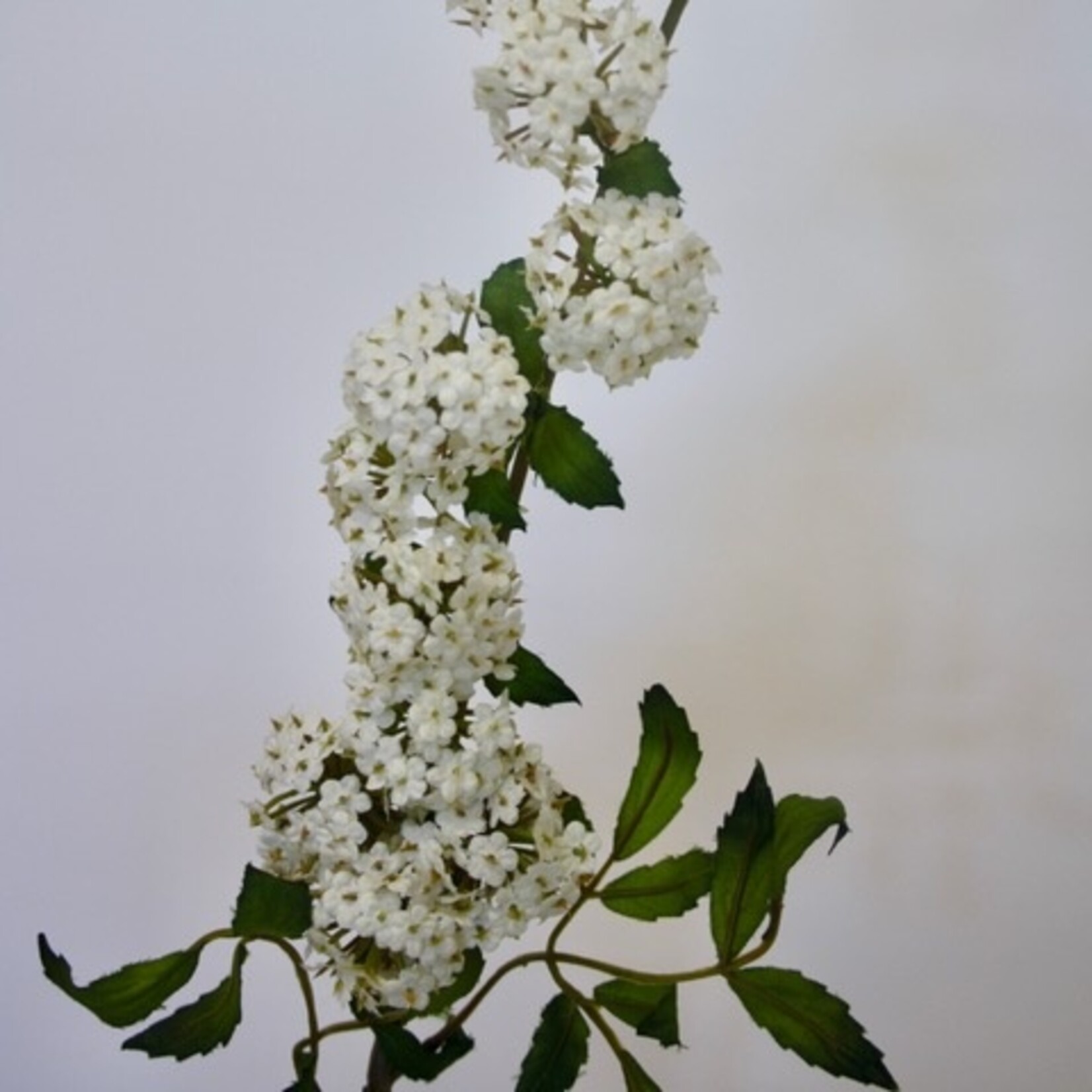 SPIREA | WHITE | 100 CM