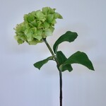 HYDRANGEA | GREEN | 80 CM