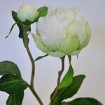 PEONY | WHITE | 45 CM