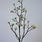 BLOESEM | WIT | 111 CM