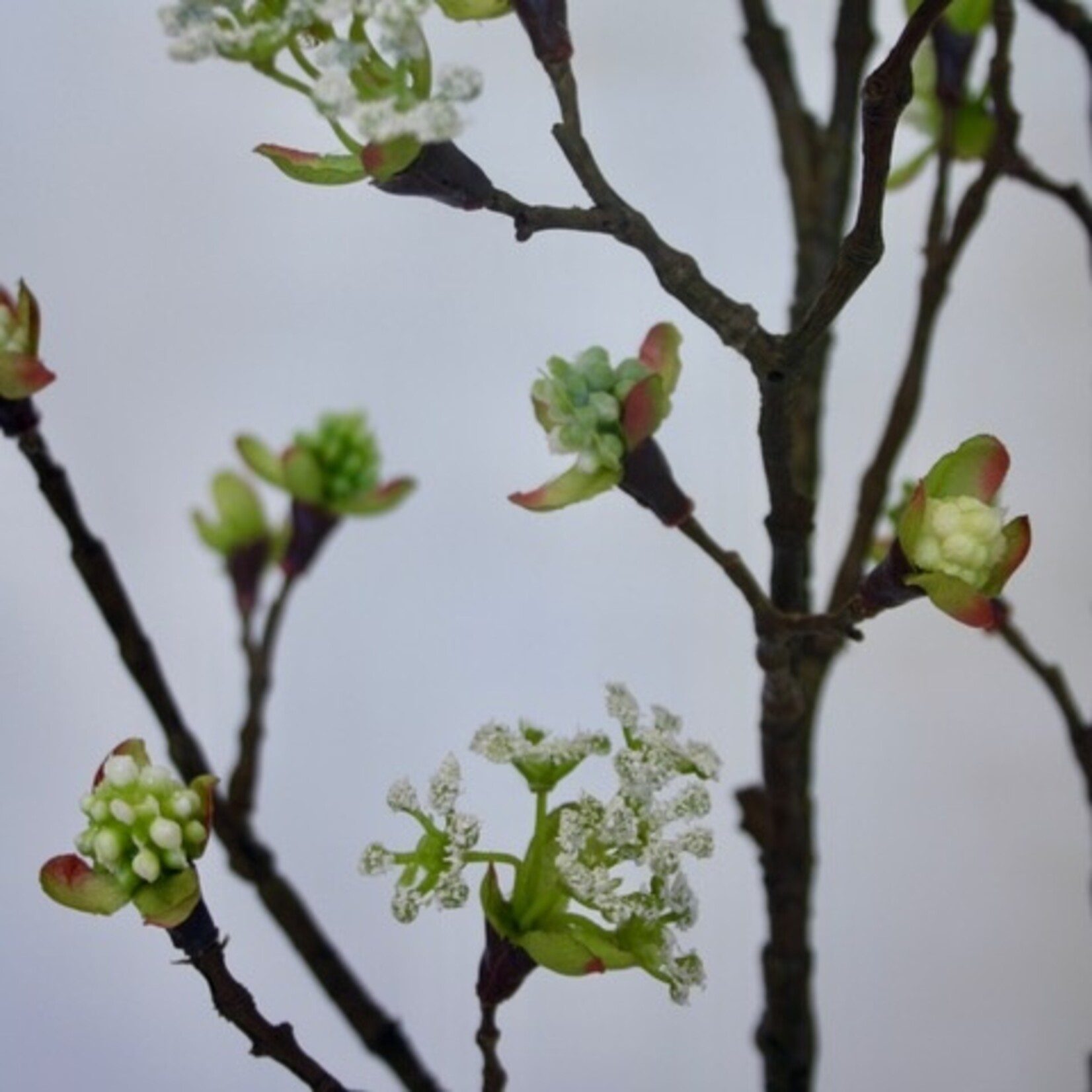 MAPLE BLOSSOM SPRAY | WHITE | 111 CM