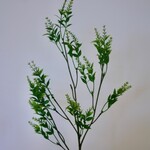 LIGUSTRUM | GROEN | 72 CM
