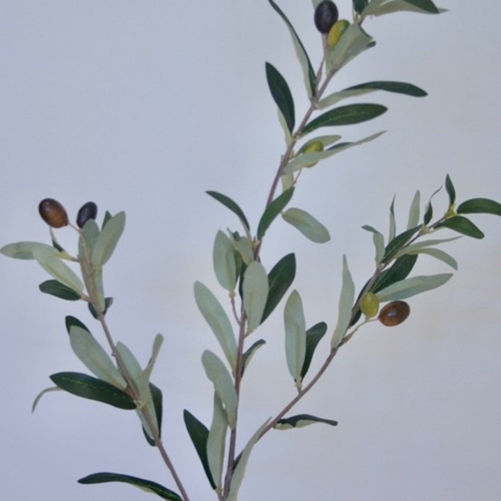 OLIVE  BRANCH | GREEN | 70 CM