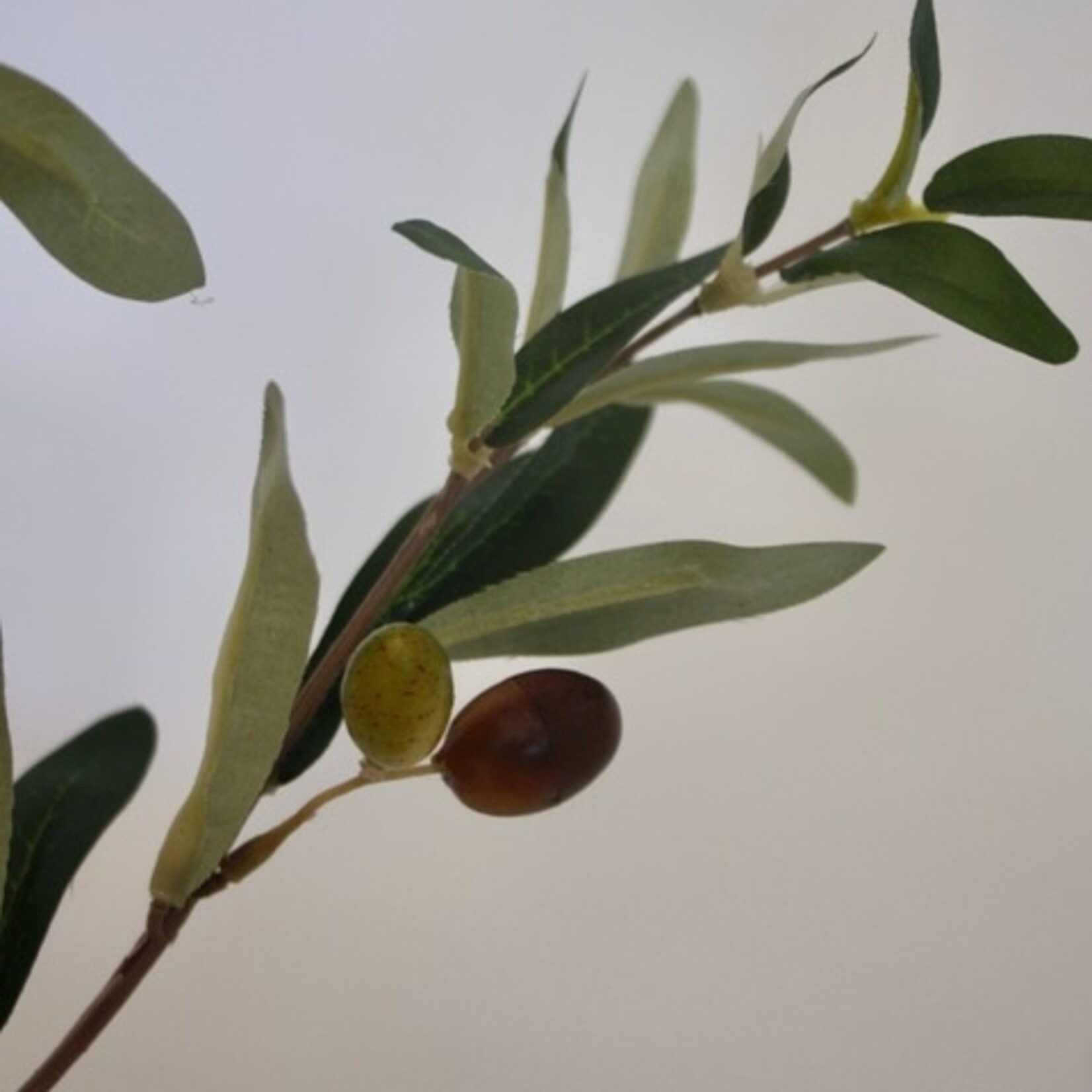 OLIVE  BRANCH | GREEN | 70 CM