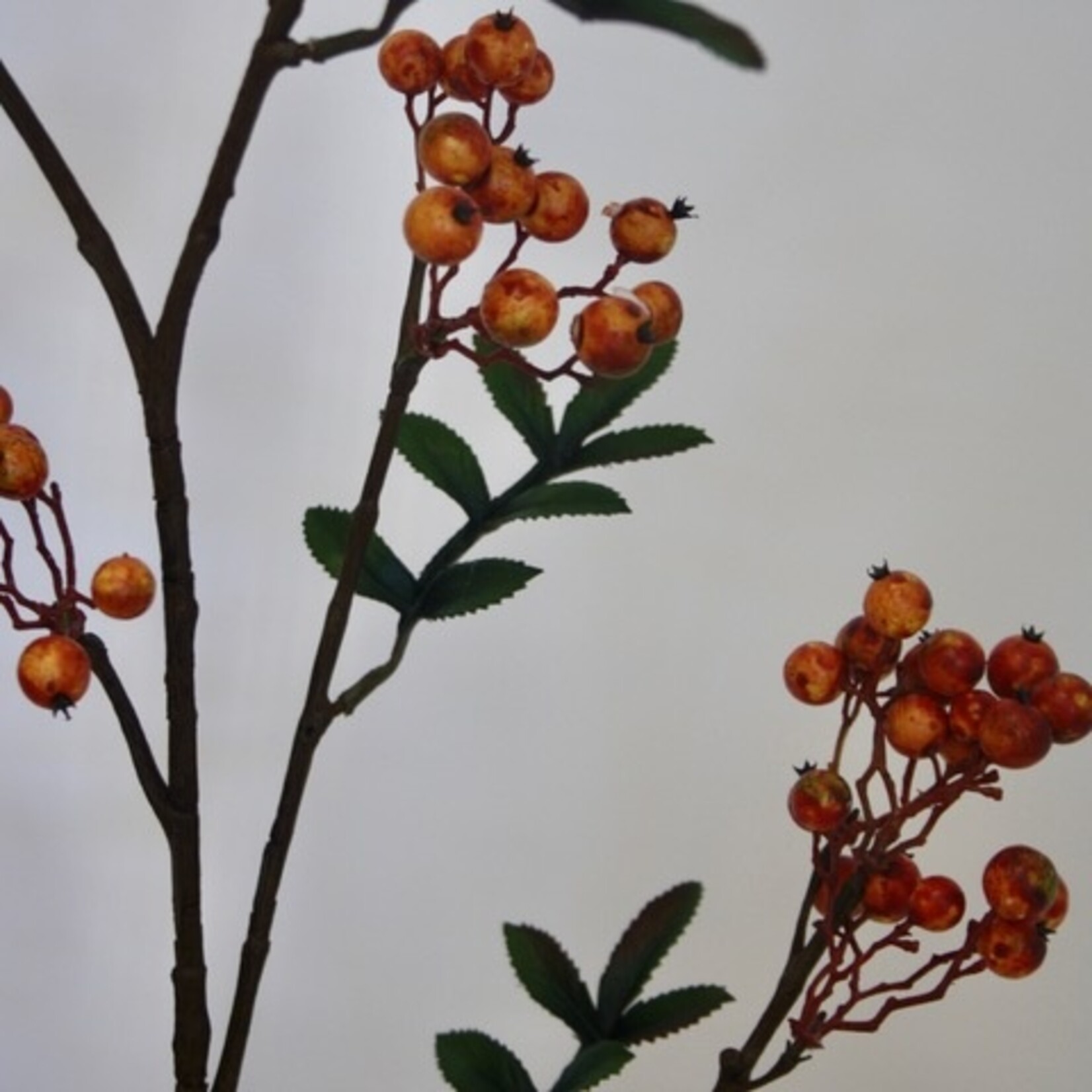 BERRY BRANCH SORBUS| ORANGE | 111 CM