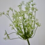 ALLIUM | WIT | 95 CM