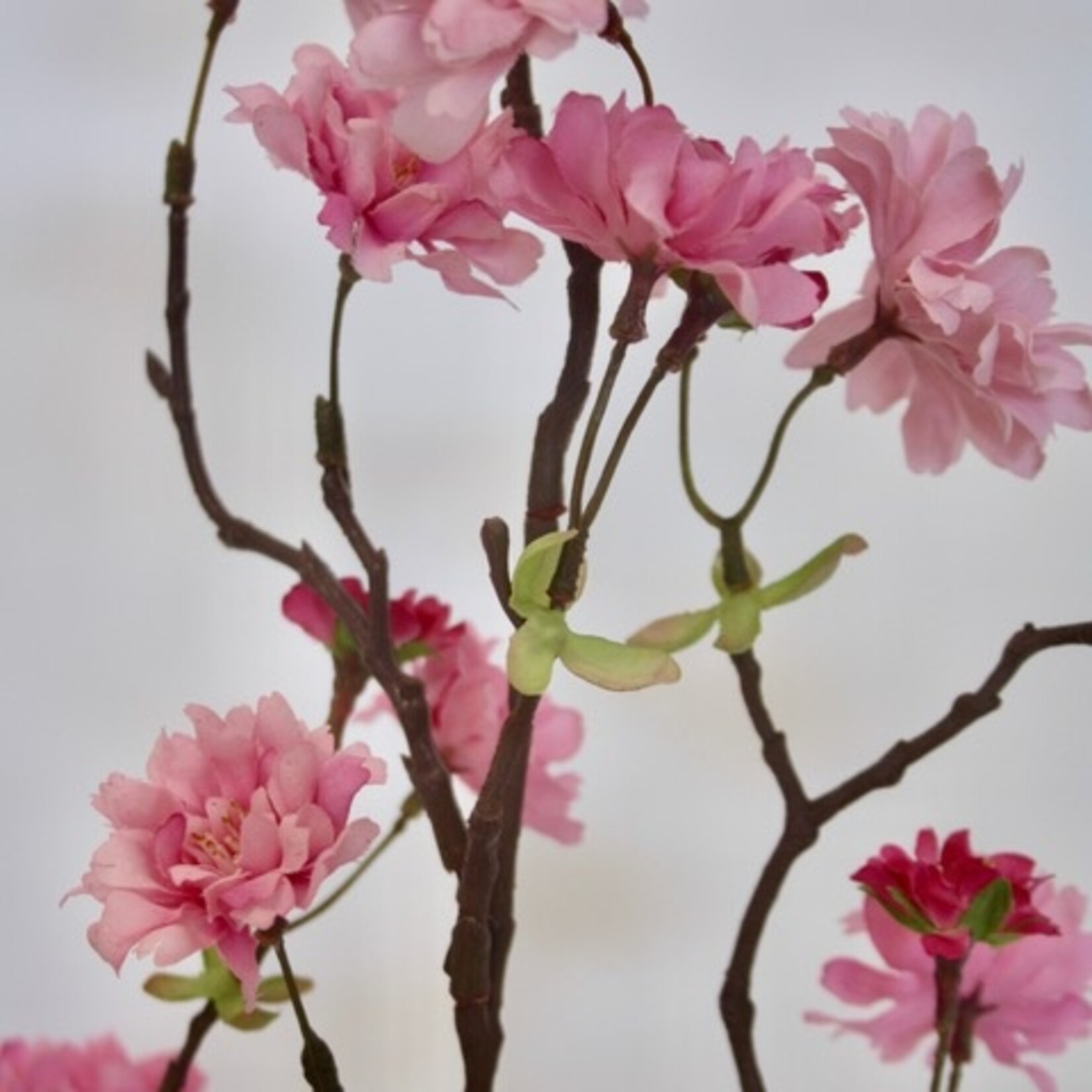 BLOESEM | ROZE | 110 CM