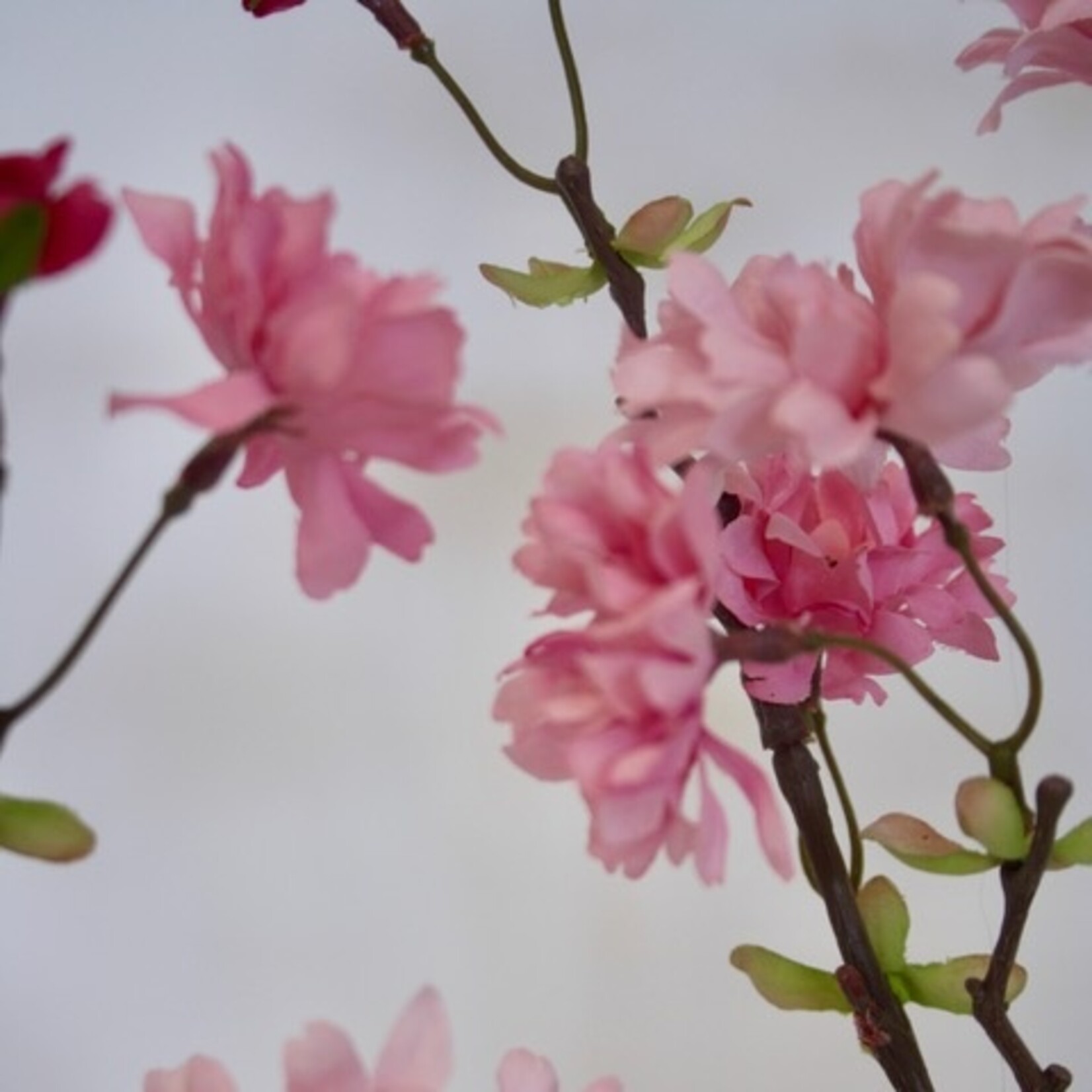 BLOSSOM SPRAY | PINK | 110 CM