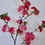 BLOSSOM | PINK | 92 CM