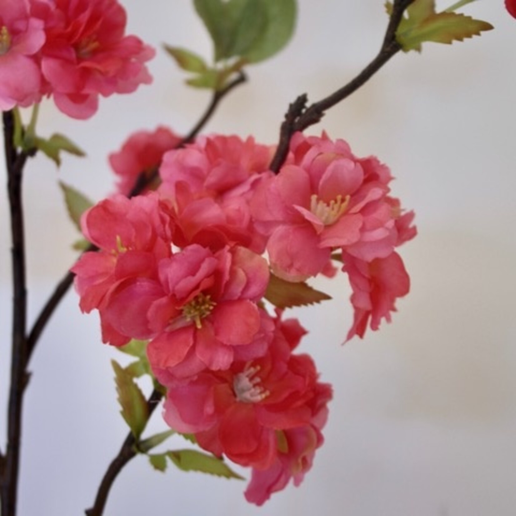 BLOSSOM SAKURA | PINK | 92 CM