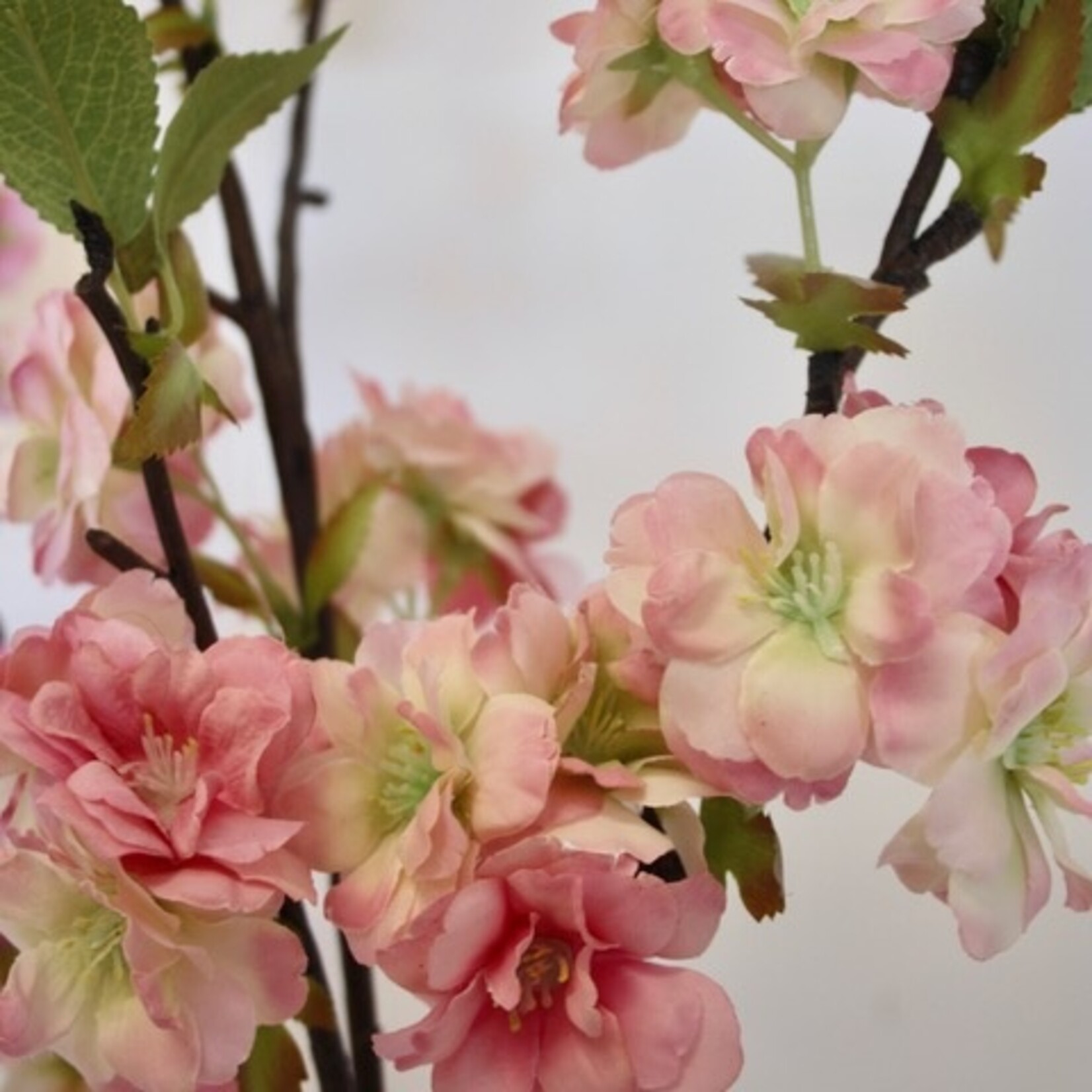 BLOSSOM | LIGHT PINK | 92 CM