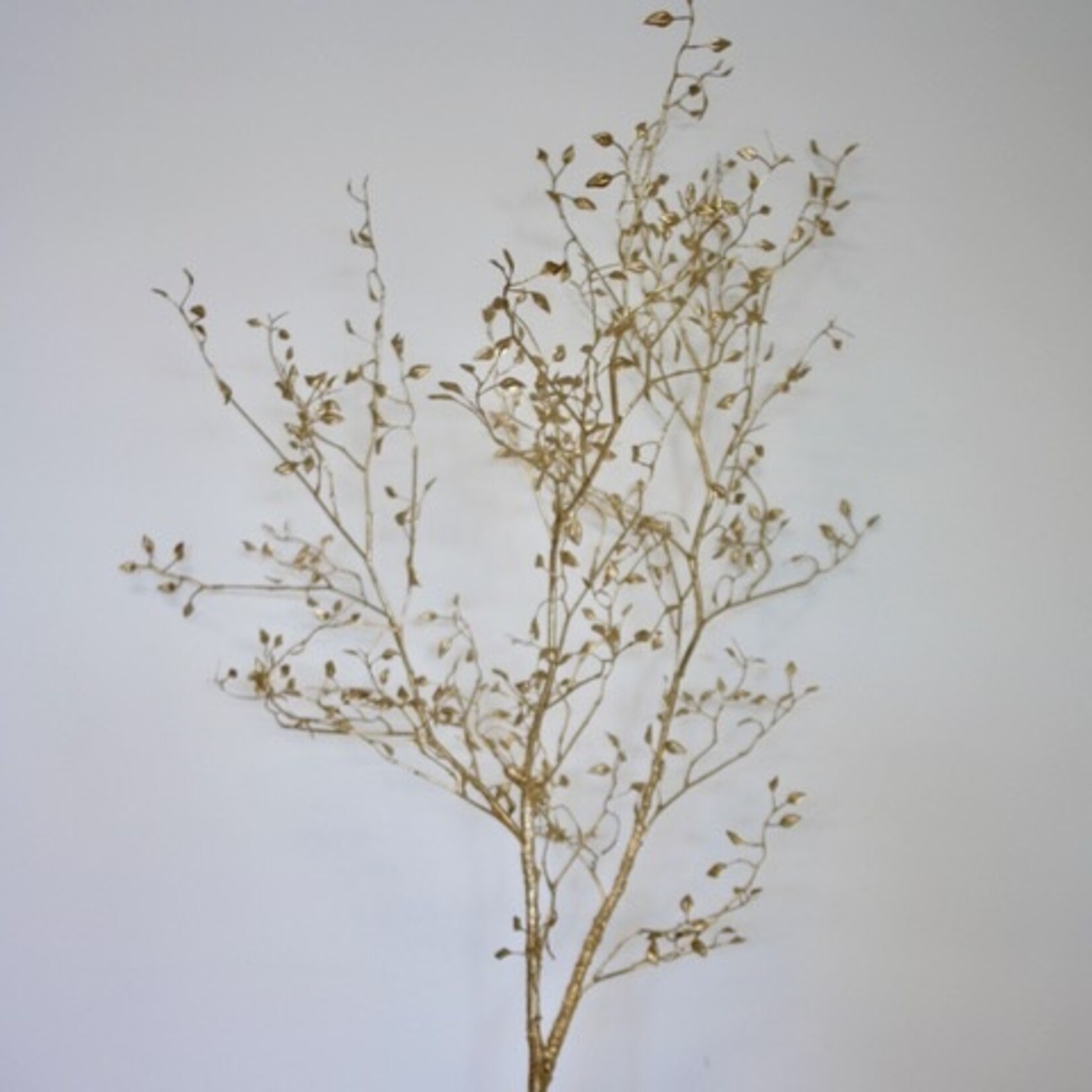 WILDE DWERGMISPEL | GOUD | 145 CM