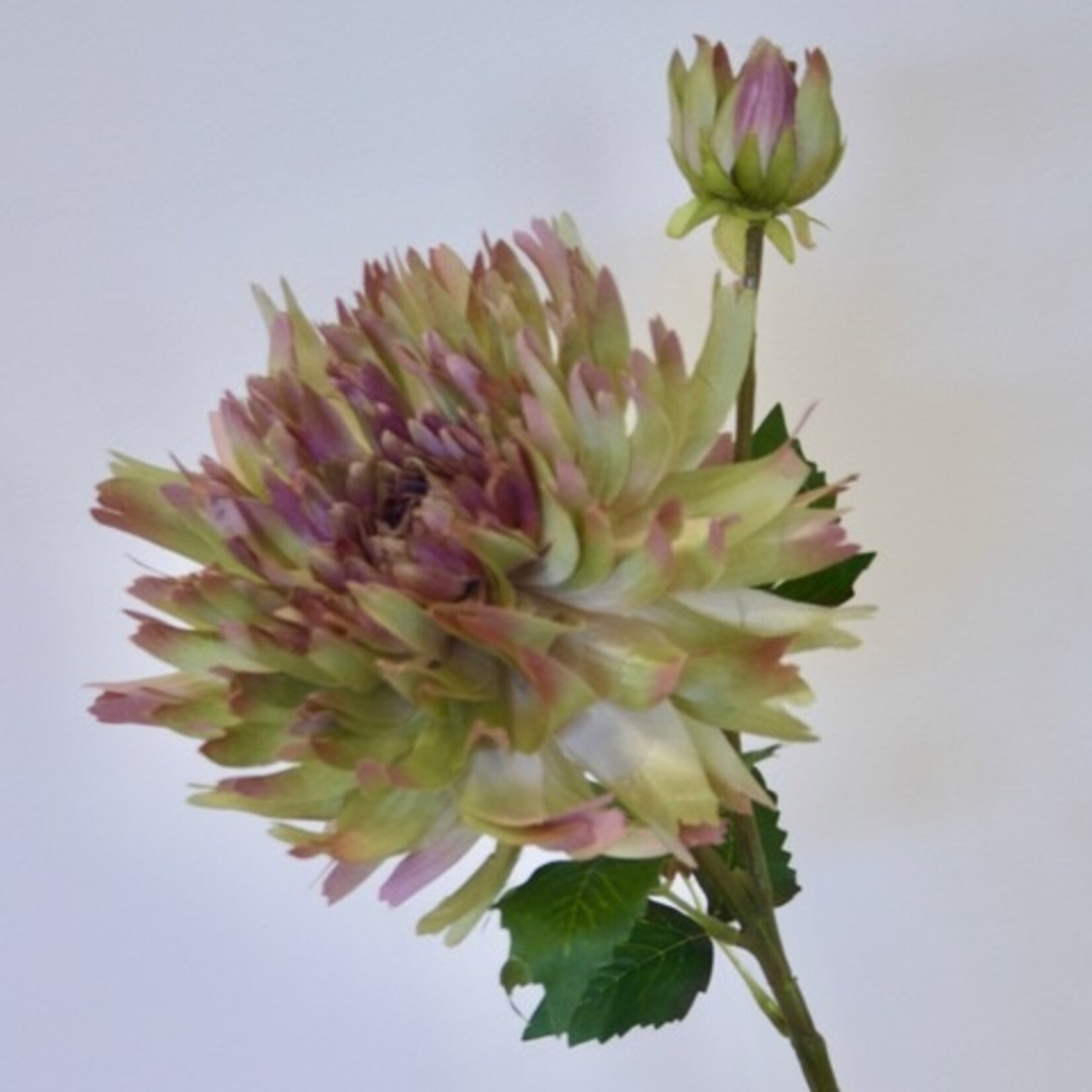 CHRYSANT SPIDER | GEEL ROZE | 54 CM