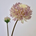 CHRYSANT | PAARS | 63 CM