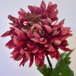 CHRYSANTHEMUM | FUCHSIA | 82 CM