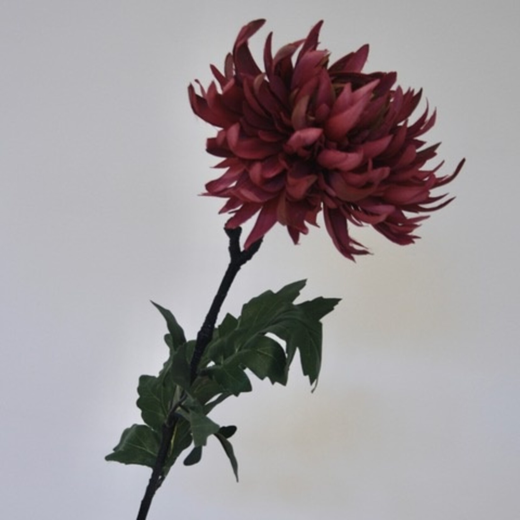 CHRYSANTHEMUM | FUCHSIA | 82 CM