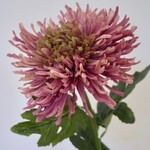 CHRYSANT | PINK | 70 CM