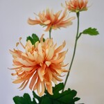 CHRYSANTHEMUM 3X| ORANGE| 70 CM