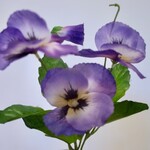 VIOLA | PURPLE | 24 CM