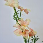RIDDERSPOOR | ZALM | 100 CM