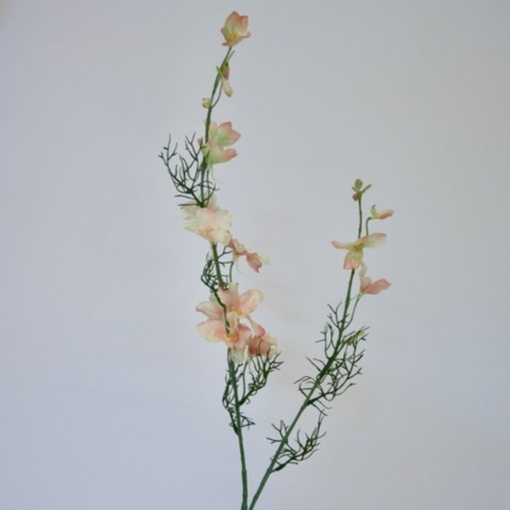 DELPHINIUM | SALMON | 100 CM